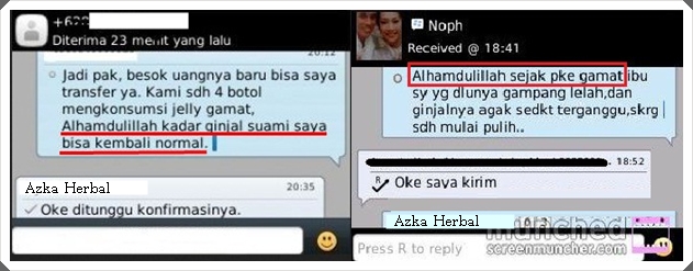 Obat Infeksi Ginjal Alami