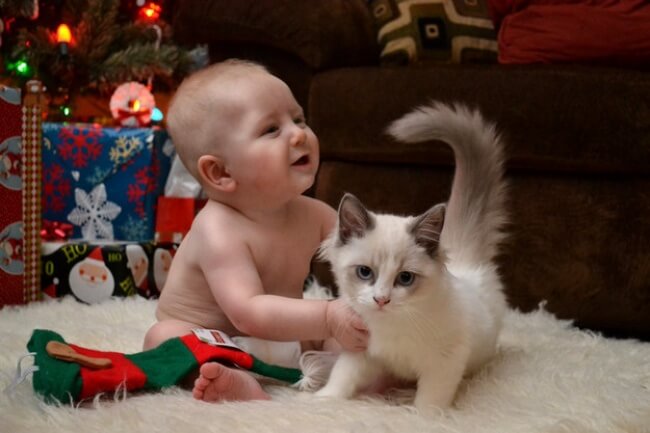 25 Thrilling Images That Made Our Day - And these little ones discovering the joy of being together