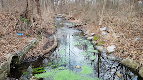 the Spruce Pond Stream is being proposed to be relocated as part of the development