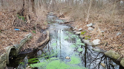 the Spruce Pond Stream is being proposed to be relocated as part of the development