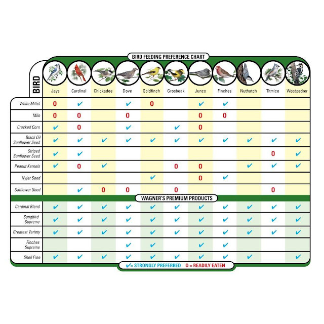 Bird Seeds Types