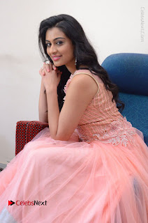 Actress Neha Hinge Stills in Pink Long Dress at Srivalli Teaser Launch  0093.JPG