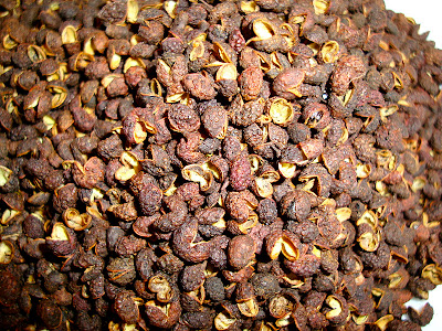 Nepal pepper - Szechuan pepper, Sichuan pepper, Chinese pepper, (Z. armatum) - Timmur - (टिम्मुर, तिम्बुर)