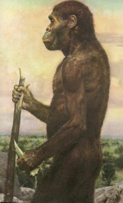 gambar_purba_Australopithecus+Africanus