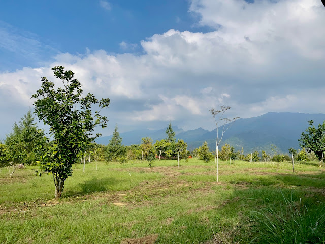 大坪頂山展望