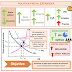5.2 LOS TIPOS DE POLÍTICA FISCAL