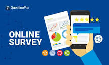 Online Survey Earnings