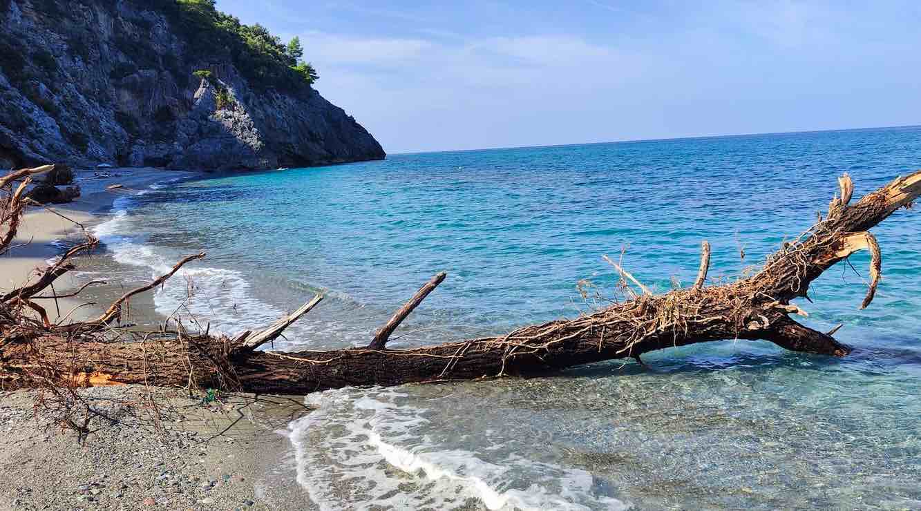 ευβοια, θαλασσα, τρομο