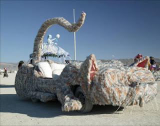 cat car in Nevada