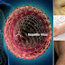 ACIP’s February meeting focused on influenza, hepatitis, HPV, and more