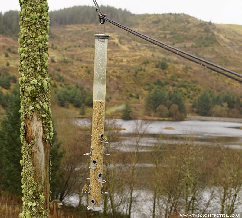 Bwlch Nant yr Arian Forest Visitor Centre