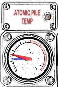 Reactor temperature indicator