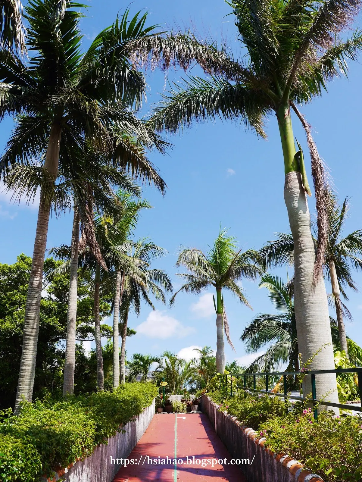 沖繩-景點-名護-名護鳳梨公園-pineapple-park-ナゴパイナップルパーク-推薦-親子-自由行-旅遊-Okinawa-Nago