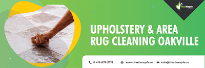 Upholstery and area rug cleaning in Oakville