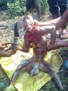 See The Cruelty Of Some Men On Animals. Photos