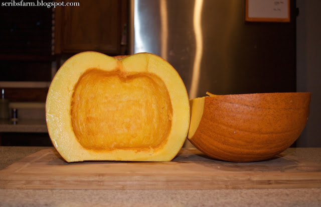 sugar pumpkin recipe