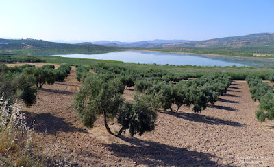 ruta-califato-bici