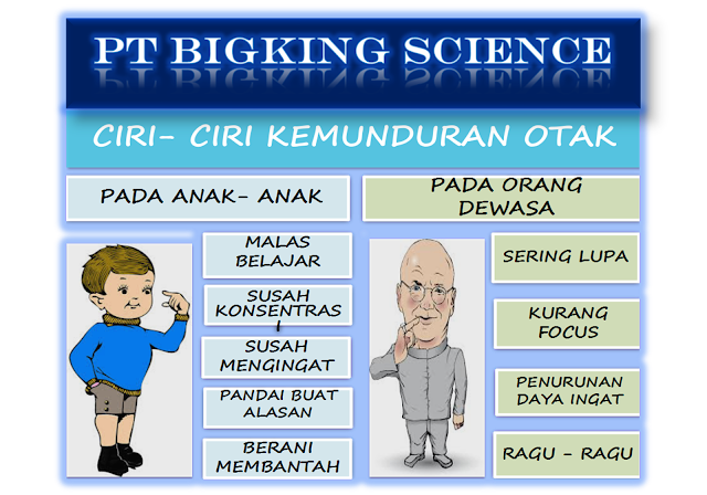 brainking plus >> 08123 01 8900