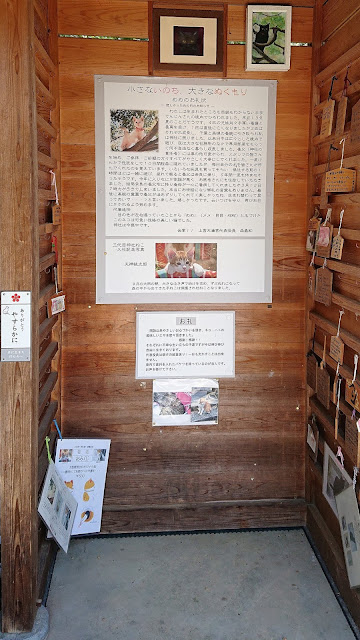 大阪 猫神社 上宮天満宮