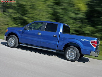 2009 Ford F-150 SFE