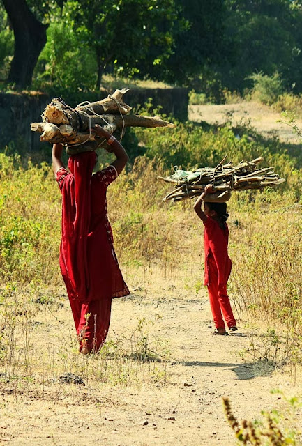 mother and child carrying firewood