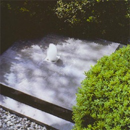 Wolternick 20
