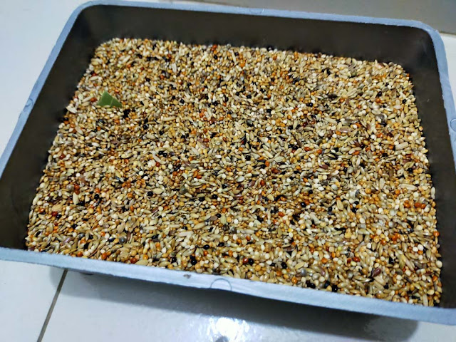 Seed Mix for Budgies