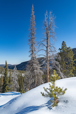 Ouzel Falls Trail