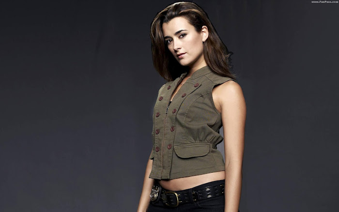 Cote de Pablo Hot HD Wallpapers