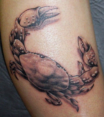 Symbol Cancer Zodiac Tattoos Crabs Symbol Sign Cancer Zodiac Tattoos