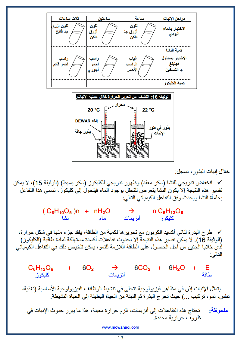 13 التوالد الجنسي عند النباتات الزهرية