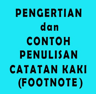 Pengertian dan Contoh Penulisan Catatan Kaki (FOOTNOTE)