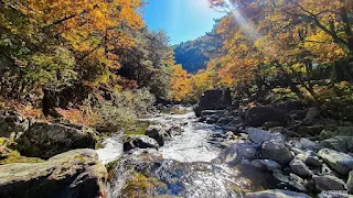정선의 자연