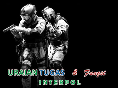 Tugas Dan Fungsi Interpol
