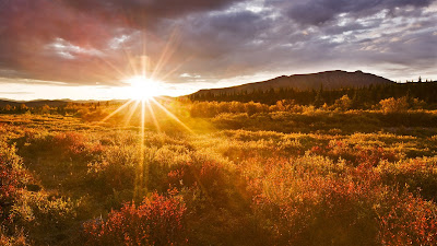 Description: Download wallpaper of Nature Scene of Sunrise in High Resolution Perfect for your Computer/Laptop Screen.Try now the pure HD wallpapers of PCwallpaperz.com