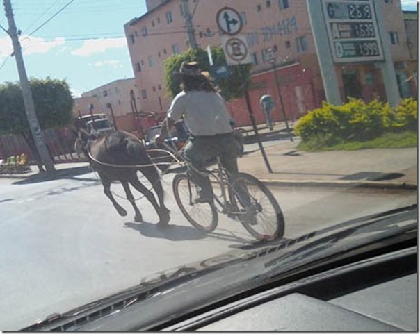 Preguiça é um problema sério