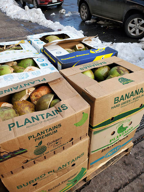 Green coconuts