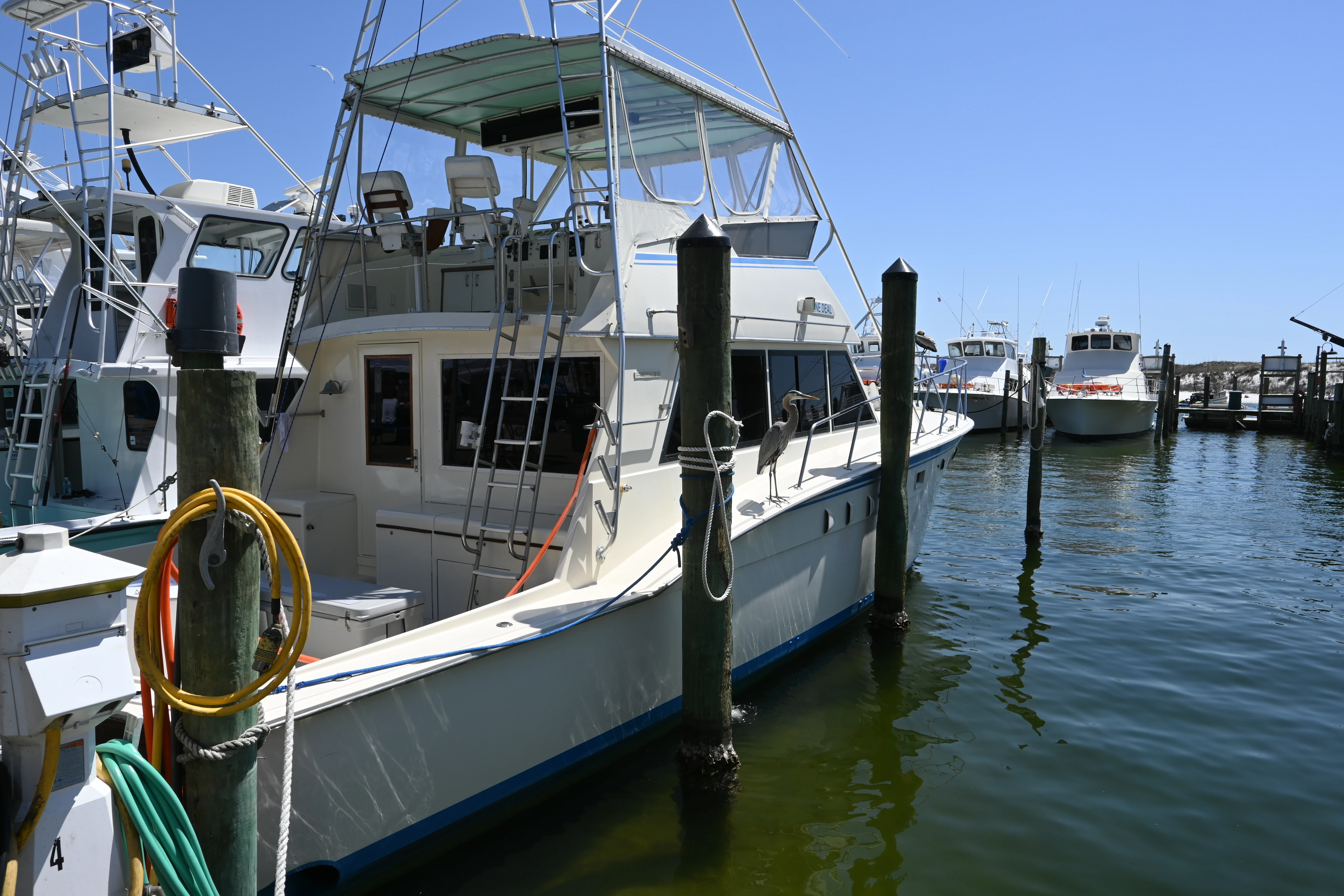 Harborwalk Pier