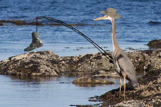 barzellette sui pescatori