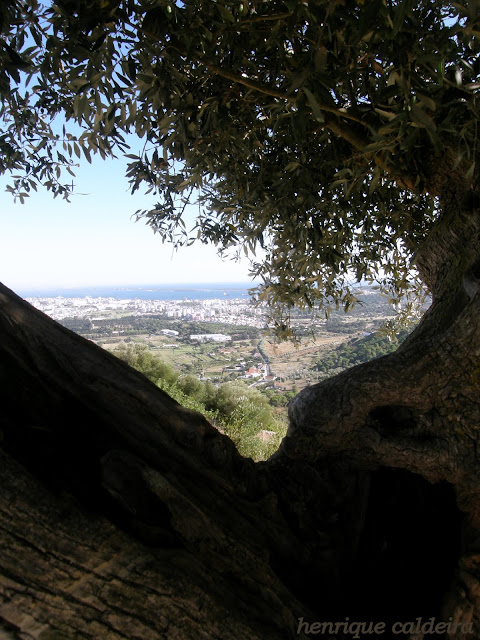 setúbal, a partir de palmela, portugal