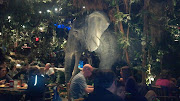 Rainforest Cafe Downtown Disney Orlando Florida (rainforest)