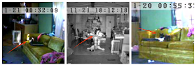 captured images from pet monitoring camera