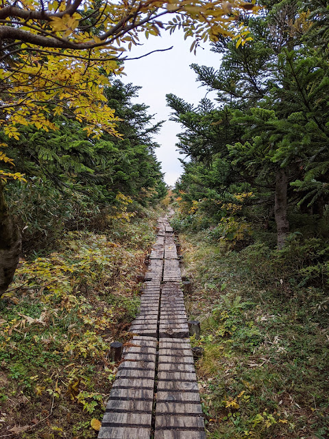 岩手山・八幡平・安比高原50kmトレイル