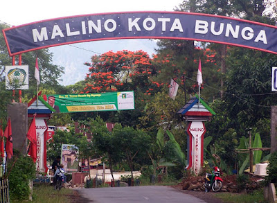 Forest Tourism of Malino