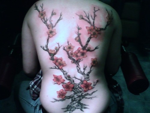 Labels Cherry Blossom Tree Tattoo
