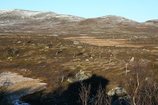 Vinterled staloviellekåtan, Anarisstugan