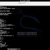 Tutorial Manually Run  'dpkg --configure -a'  For Kali-Linux
