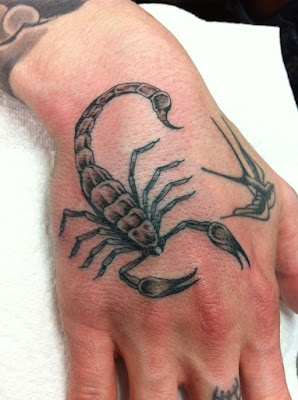 Best Scorpion Tattoos Designs and Ideas