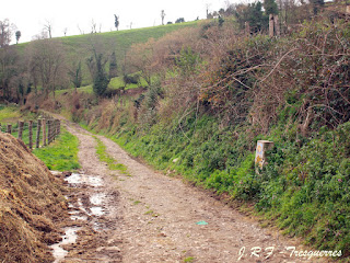 Camino a La Millariega