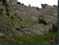 DSCN3754